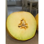 Афродіта F1 250 насіння овальної дині, Libra Seeds, Туреччина
